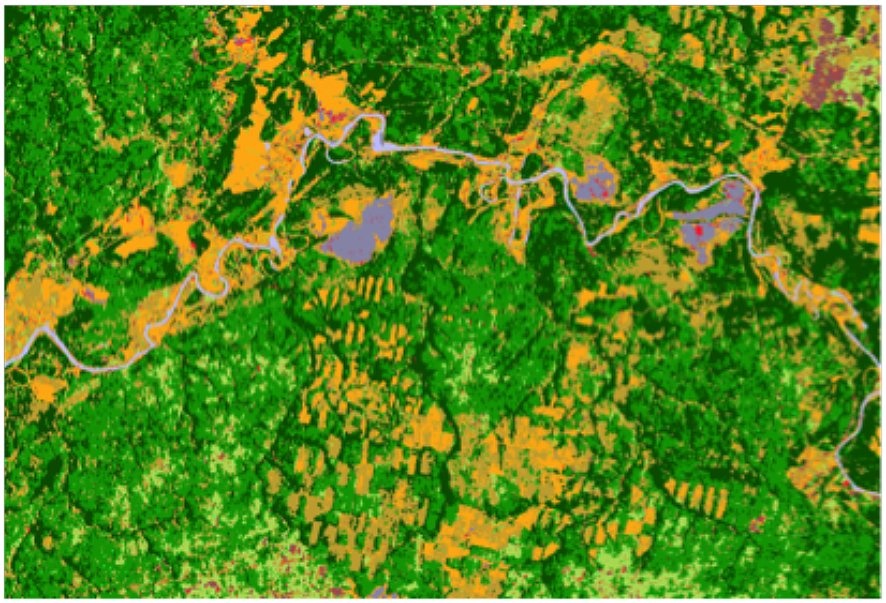 Example of a classified forest type map