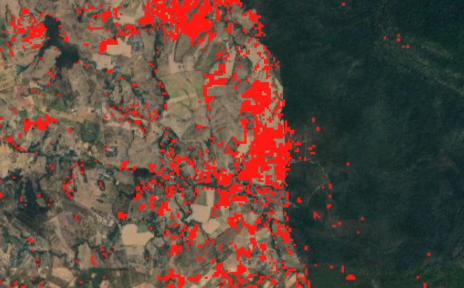 Map showing forest loss in red and forest gain in blue