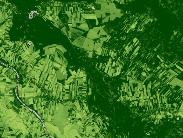Example of a GEE time-series chart showing NDVI values over several years